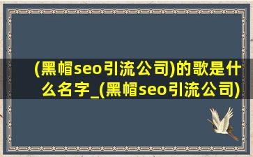 (黑帽seo引流公司)的歌是什么名字_(黑帽seo引流公司)的歌是什么歌2020年