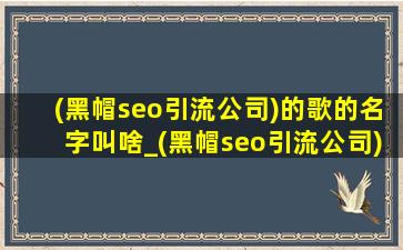 (黑帽seo引流公司)的歌的名字叫啥_(黑帽seo引流公司)的歌的名字叫什么