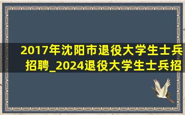 2017年沈阳市退役大学生士兵招聘_2024退役大学生士兵招聘
