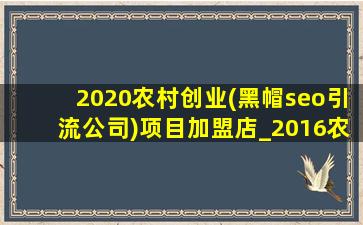 2020农村创业(黑帽seo引流公司)项目加盟店_2016农村创业好项目加盟