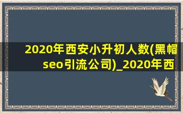 2020年西安小升初人数(黑帽seo引流公司)_2020年西安小升初人数是多少