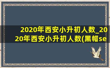 2020年西安小升初人数_2020年西安小升初人数(黑帽seo引流公司)