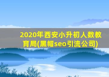 2020年西安小升初人数教育局(黑帽seo引流公司)