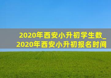 2020年西安小升初学生数_2020年西安小升初报名时间