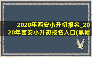 2020年西安小升初报名_2020年西安小升初报名入口(黑帽seo引流公司)