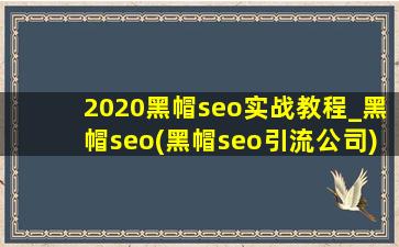 2020黑帽seo实战教程_黑帽seo(黑帽seo引流公司)教程