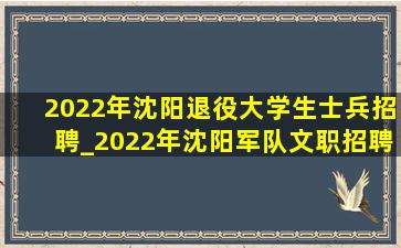 2022年沈阳退役大学生士兵招聘_2022年沈阳军队文职招聘岗位