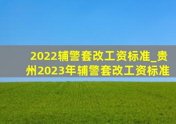 2022辅警套改工资标准_贵州2023年辅警套改工资标准