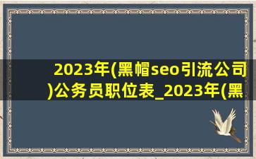 2023年(黑帽seo引流公司)公务员职位表_2023年(黑帽seo引流公司)公务员职位表大全