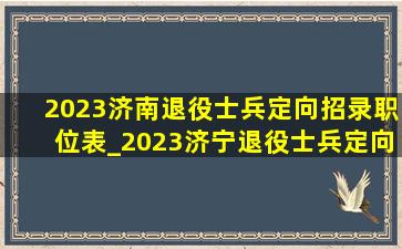 2023济南退役士兵定向招录职位表_2023济宁退役士兵定向招录职位表