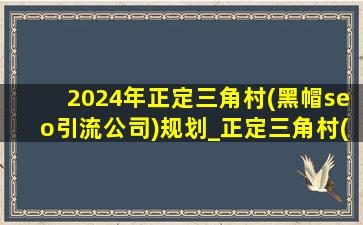 2024年正定三角村(黑帽seo引流公司)规划_正定三角村(黑帽seo引流公司)规划