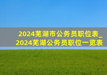 2024芜湖市公务员职位表_2024芜湖公务员职位一览表