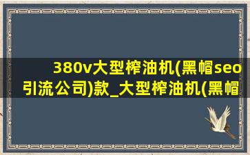 380v大型榨油机(黑帽seo引流公司)款_大型榨油机(黑帽seo引流公司)款