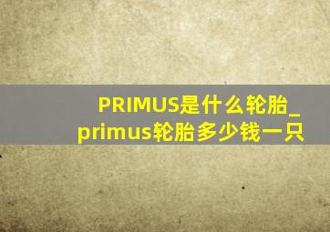 PRIMUS是什么轮胎_primus轮胎多少钱一只