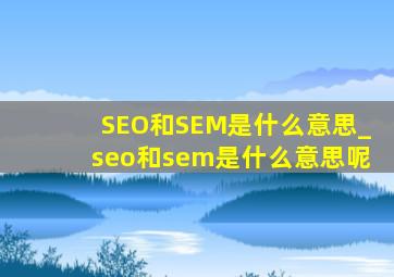 SEO和SEM是什么意思_seo和sem是什么意思呢