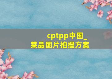 cptpp中国_菜品图片拍摄方案