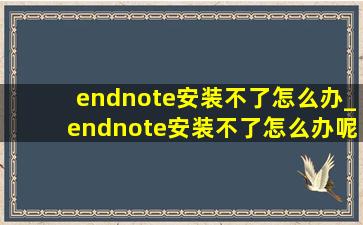 endnote安装不了怎么办_endnote安装不了怎么办呢