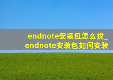 endnote安装包怎么找_endnote安装包如何安装