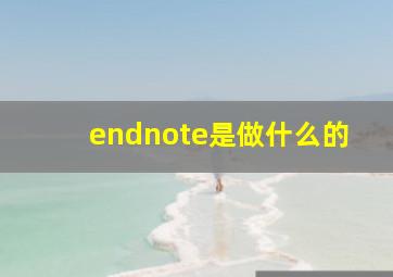 endnote是做什么的