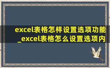 excel表格怎样设置选项功能_excel表格怎么设置选项内容