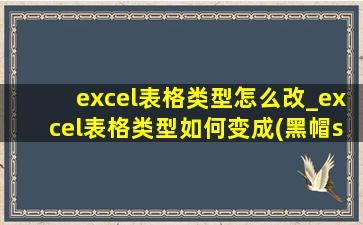 excel表格类型怎么改_excel表格类型如何变成(黑帽seo引流公司)的