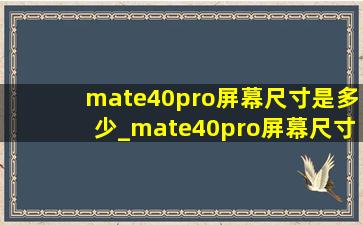 mate40pro屏幕尺寸是多少_mate40pro屏幕尺寸