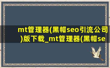 mt管理器(黑帽seo引流公司)版下载_mt管理器(黑帽seo引流公司)网站