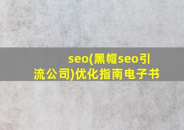 seo(黑帽seo引流公司)优化指南电子书