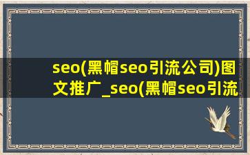 seo(黑帽seo引流公司)图文推广_seo(黑帽seo引流公司)推广营销软件