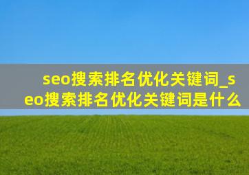 seo搜索排名优化关键词_seo搜索排名优化关键词是什么
