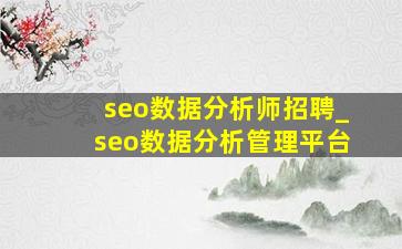 seo数据分析师招聘_seo数据分析管理平台