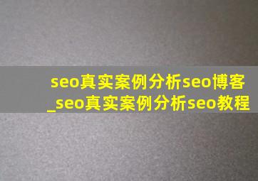 seo真实案例分析seo博客_seo真实案例分析seo教程