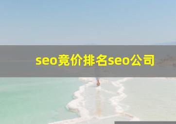seo竞价排名seo公司
