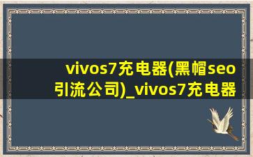 vivos7充电器(黑帽seo引流公司)_vivos7充电器是什么样的