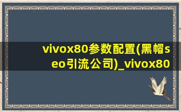 vivox80参数配置(黑帽seo引流公司)_vivox80参数配置图片