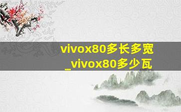 vivox80多长多宽_vivox80多少瓦