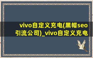 vivo自定义充电(黑帽seo引流公司)_vivo自定义充电提示音