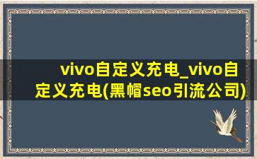 vivo自定义充电_vivo自定义充电(黑帽seo引流公司)