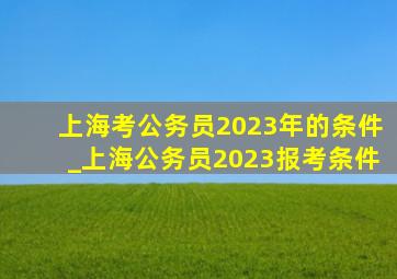 上海考公务员2023年的条件_上海公务员2023报考条件