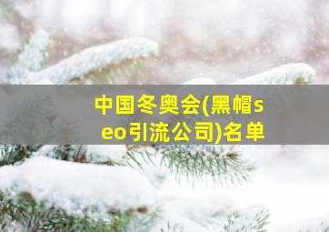 中国冬奥会(黑帽seo引流公司)名单