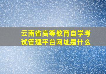 云南省高等教育自学考试管理平台网址是什么