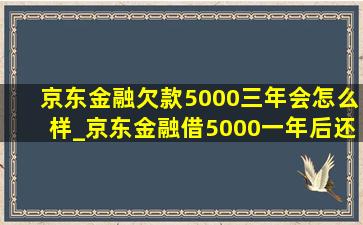 京东金融欠款5000三年会怎么样_京东金融借5000一年后还多少
