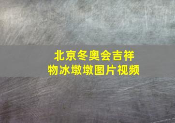 北京冬奥会吉祥物冰墩墩图片视频