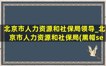 北京市人力资源和社保局领导_北京市人力资源和社保局(黑帽seo引流公司)