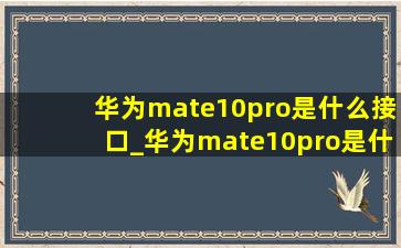 华为mate10pro是什么接口_华为mate10pro是什么屏