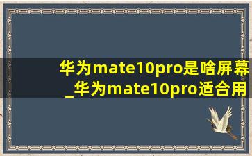 华为mate10pro是啥屏幕_华为mate10pro适合用哪个系统版本