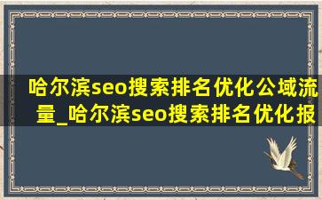 哈尔滨seo搜索排名优化公域流量_哈尔滨seo搜索排名优化报价