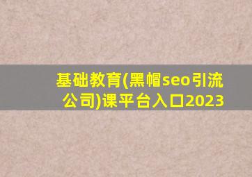 基础教育(黑帽seo引流公司)课平台入口2023