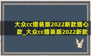 大众cc猎装版2022新款猎心款_大众cc猎装版2022新款上市时间