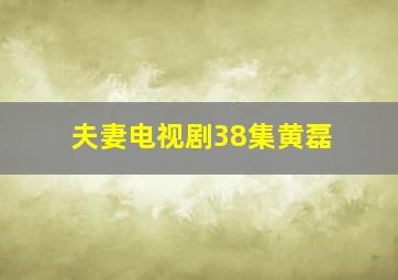 夫妻电视剧38集黄磊